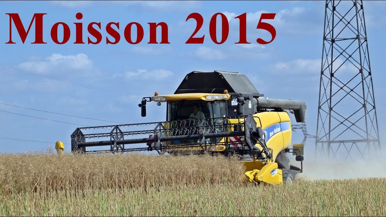 Moisson du colza 2015 avec New Holland cx8050