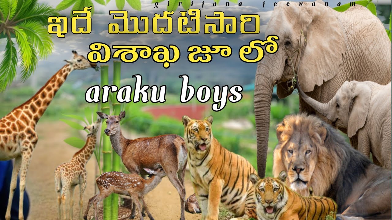నా ఫ్రెండ్స్ తో కలిసి వైజాగ్ జూ పార్క్ కి వేళ్ళేము||visakhapatnam zoo park||girijana jeevanam