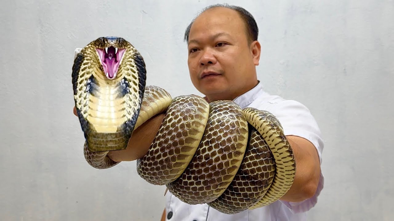 Lòng rắn xào lá đinh lăng ngon nhất // Sơn Hào 