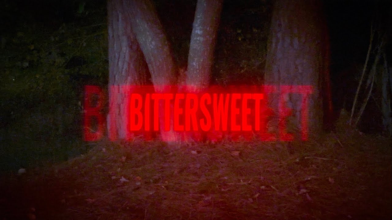SNACO - Bittersweet (Prod. yoElling)