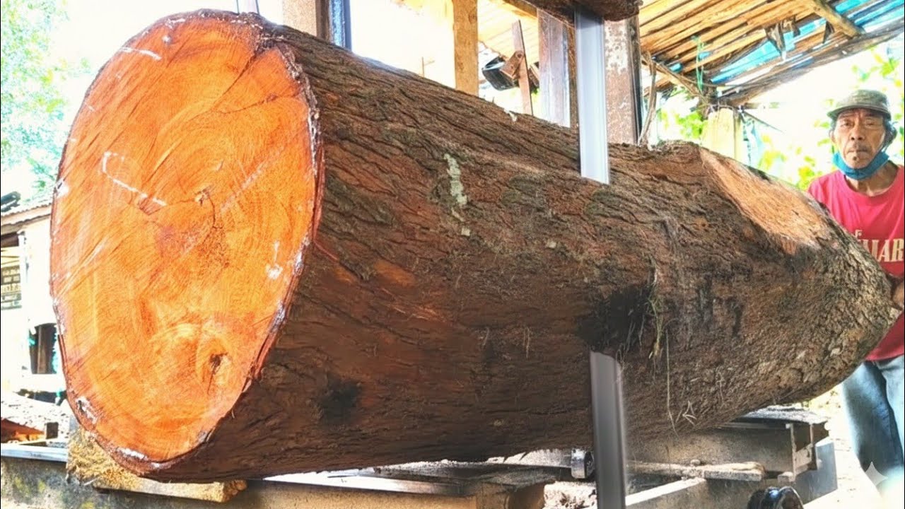 The saw blade almost broke at the 4th minute, because the wood was too hard.