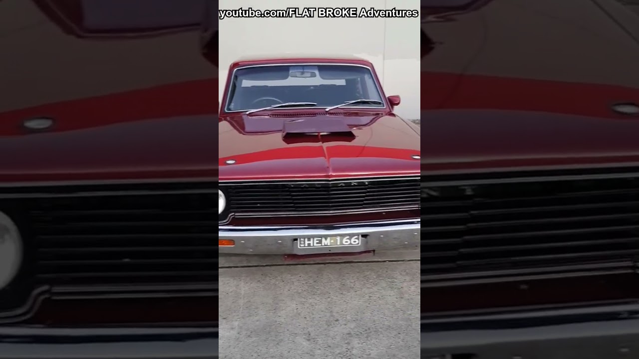 Pie Run East Maitland #shorts