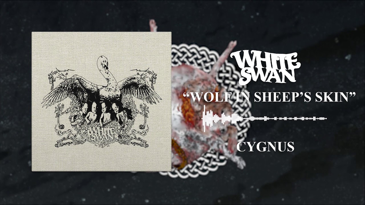 White Swan - Wolf In Sheep's Skin (Official Audio)
