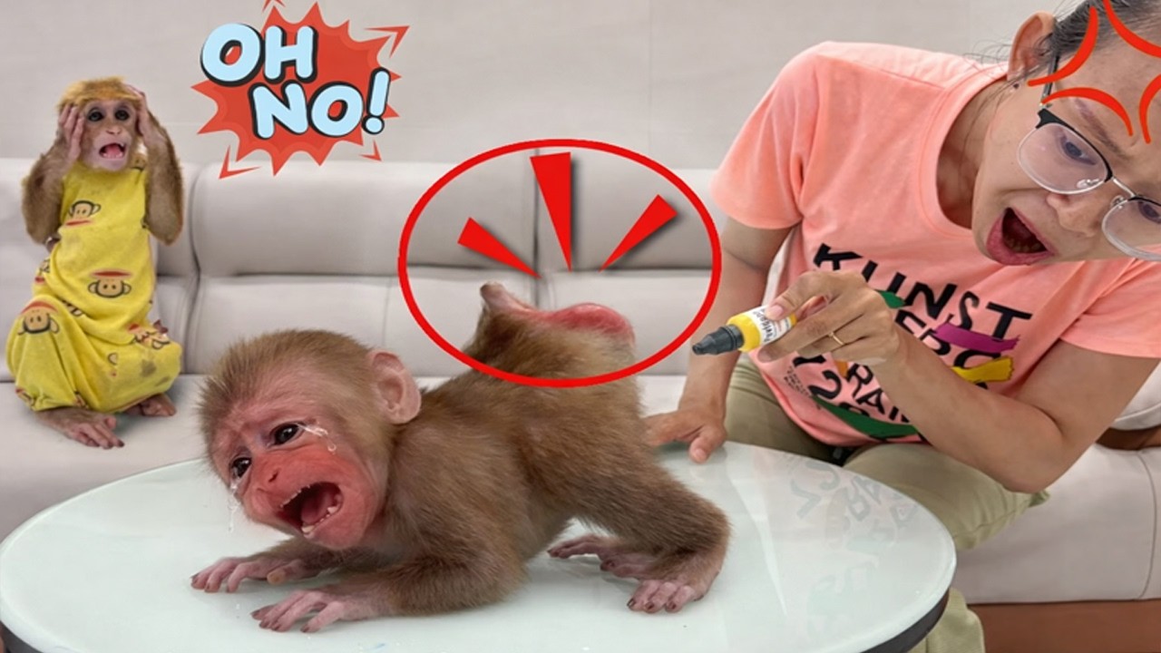 Sunny screams in pain — Lucky races to get Mom!