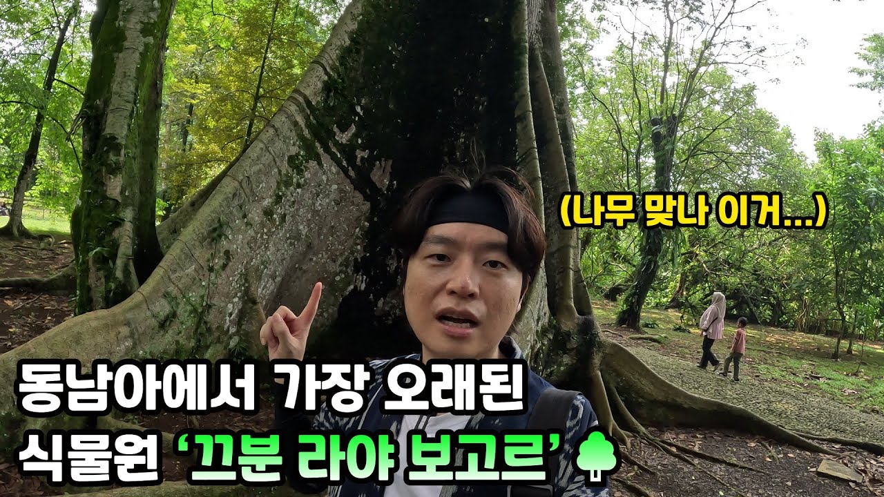 [4K] 동남아에서 가장 오래된 식물원 '끄분 라야 보고르(보고르 식물원)'를 가봤습니다