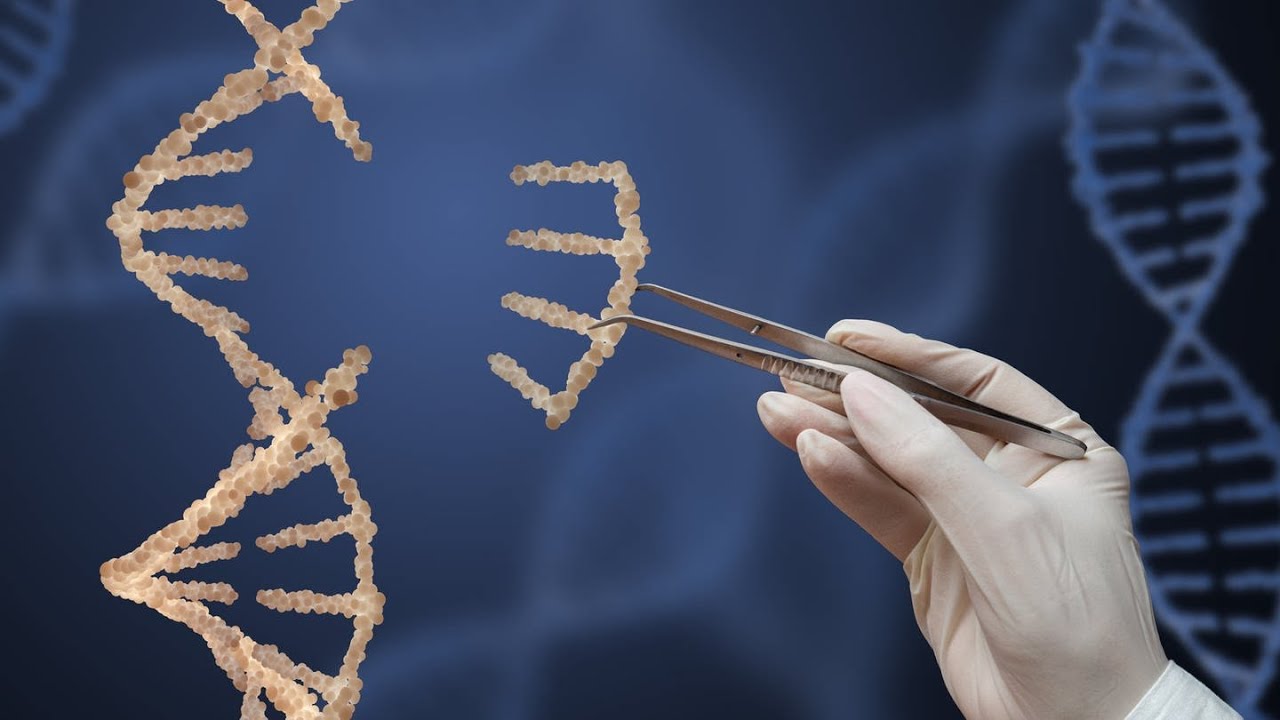 ARD | Die Genschere CRISPR k&ouml;nnte Erbkrankheiten heilen