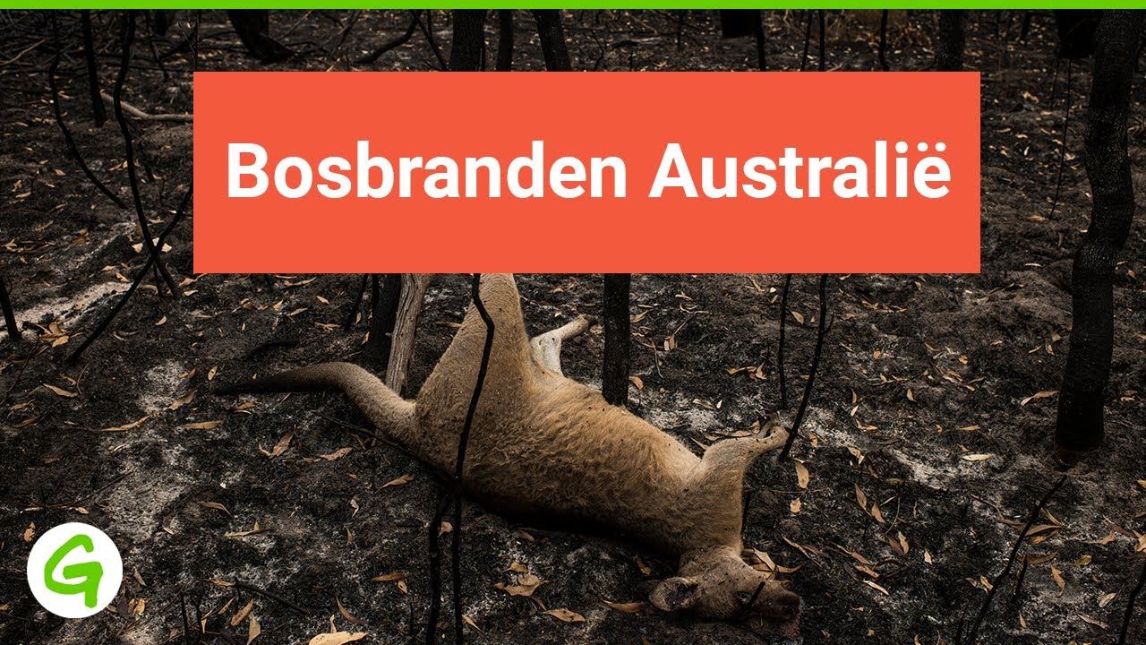 Bosbranden in Australië (drone beelden)