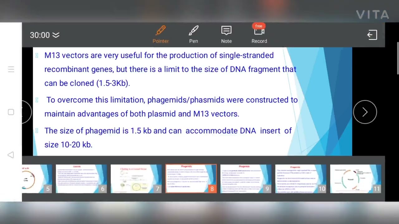 Cosmids, Phagemids & YAC Vectors