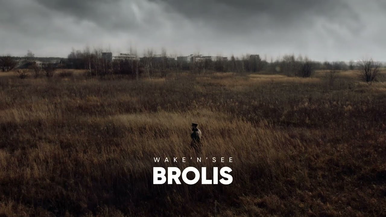 Wake'N'seE - Brolis