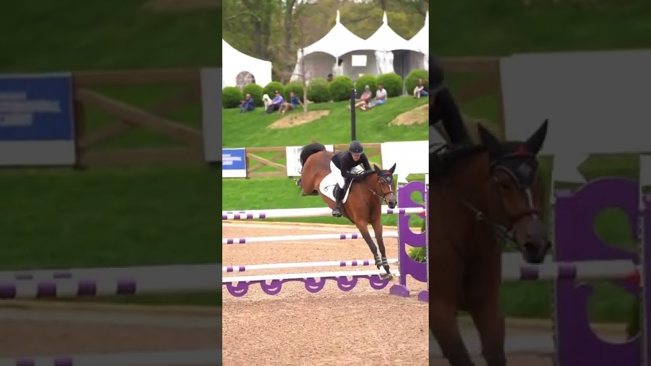 Best jump 💕 #horses #jumping #equestrian #competition #fyp #shorts #blowup #jumping #highjump