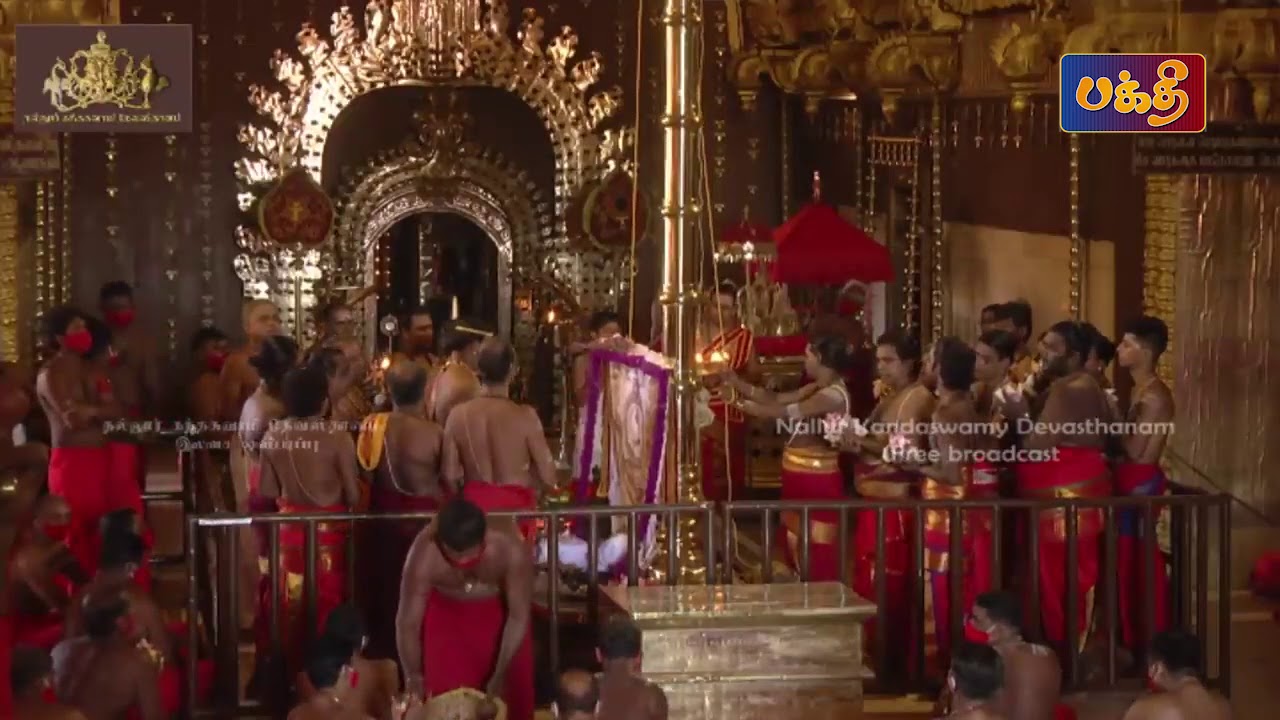 Nallur Kandaswamy Kovil Festival 2020 | Kodi