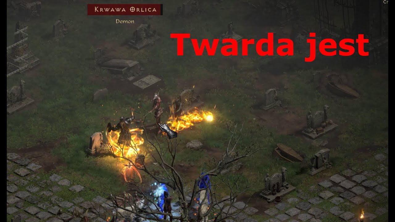 Krwawa Orlica - twarda sztuka /players 8 | #02 Druid | Diablo 2