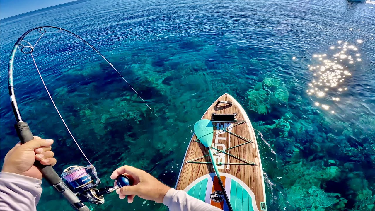 CRAZY FISHING on PADDLE BOARD