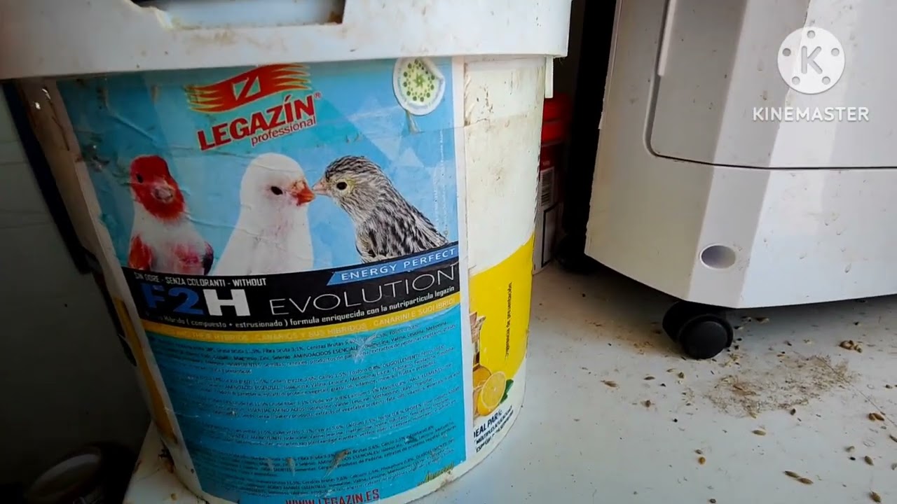 Un repaso al Aviario y a los pichones