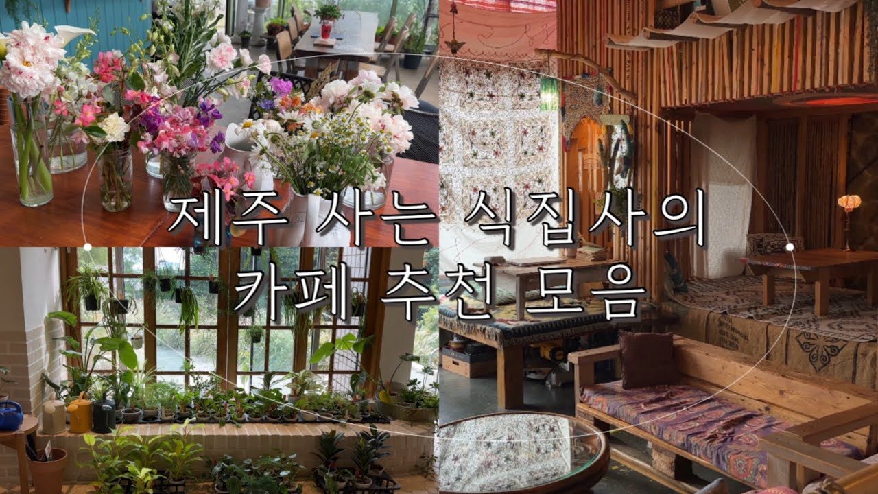 [일상vlog] 제주 식집사의  최애 카페 𓎩 딱 세 곳 공개합니다  ˖ . ݁𝜗𝜚. ݁₊  | 송당나무 | BOHO | 식물집