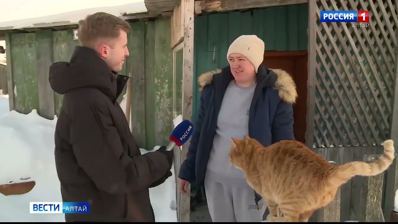 Лисы нападают на людей в деревнях на Алтае, а случаев бешенства всё больше 