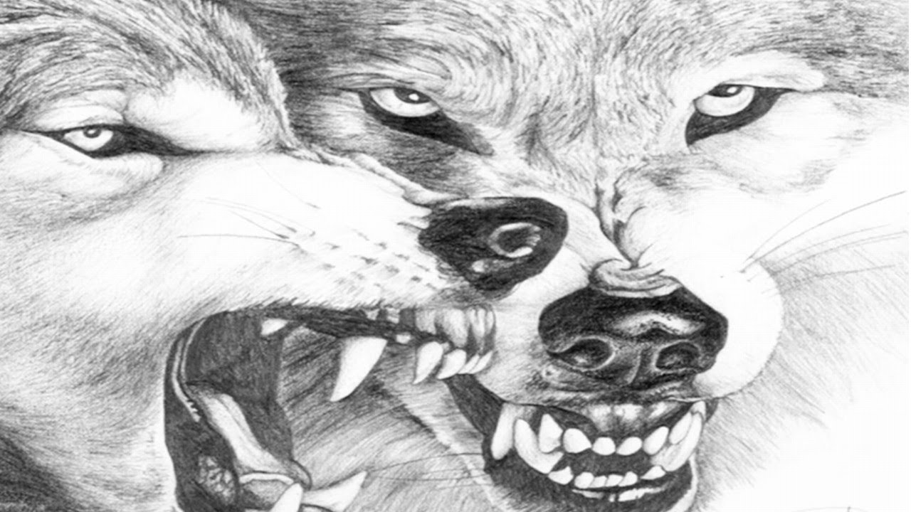 غدر الصحاب والبشر مع الشاعر عبدالسميع محمد وقصيدة ( يا ولدة الديب )