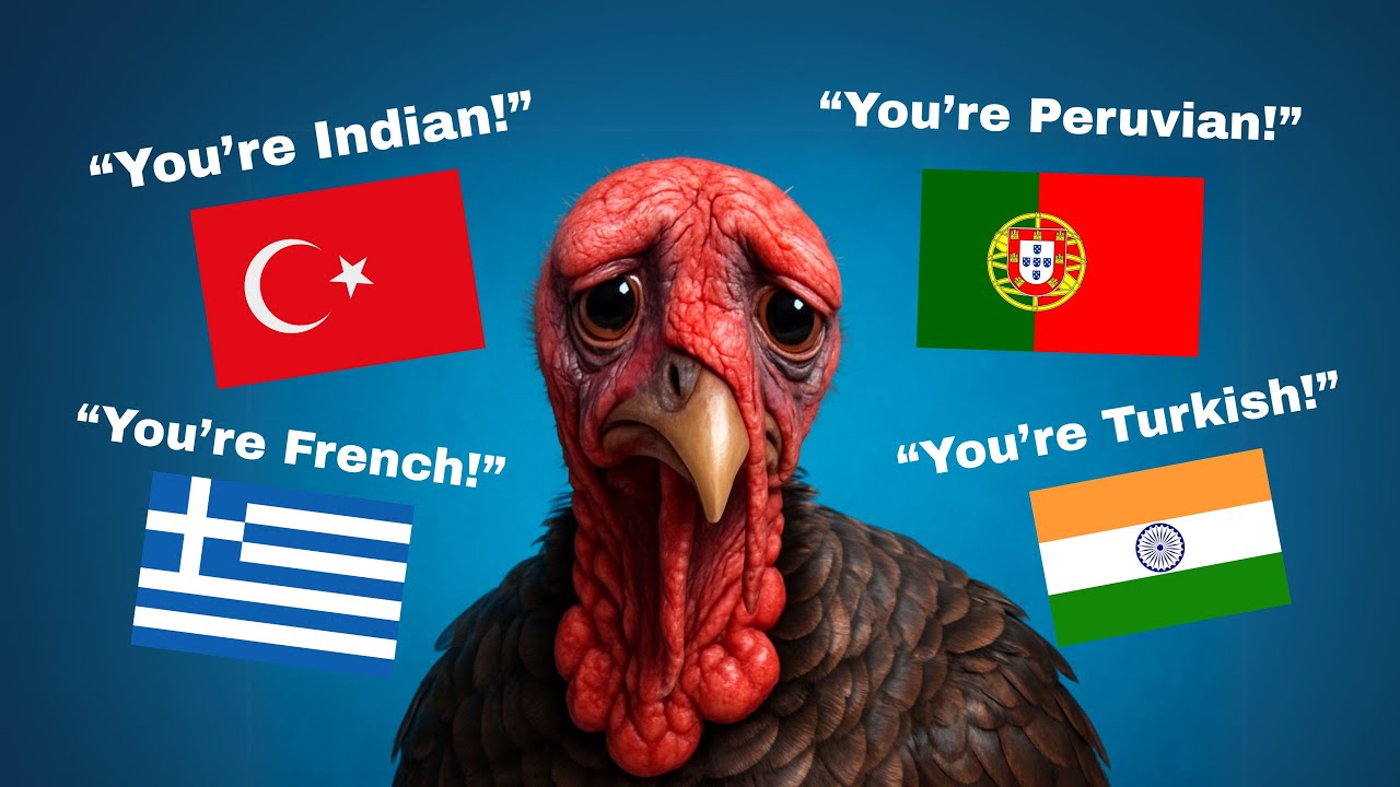 No Country Wants to Claim This Bird