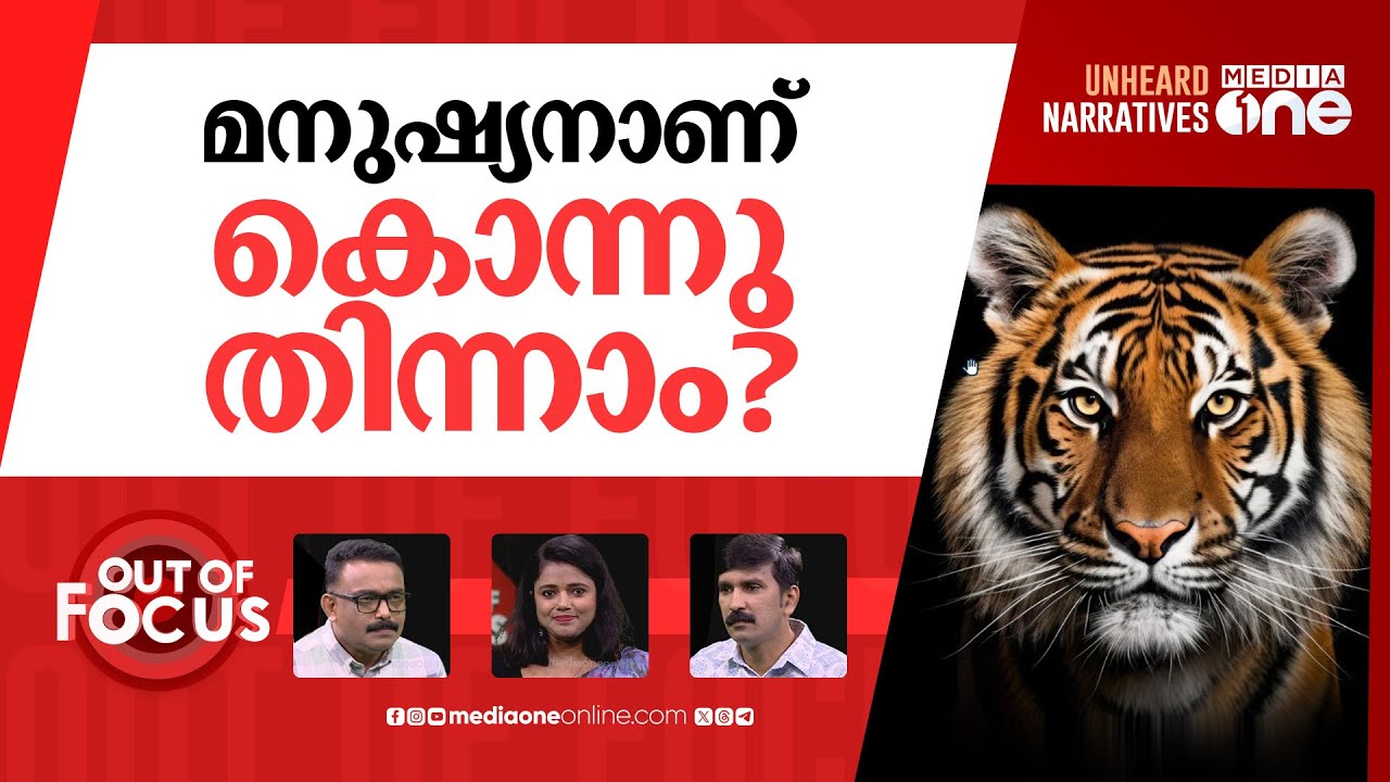 കാട്ടുമൃഗങ്ങളെ കൊന്നുകുറയ്ക്കണോ? | Man-eater tiger found dead in Wayanad | Out Of Focus