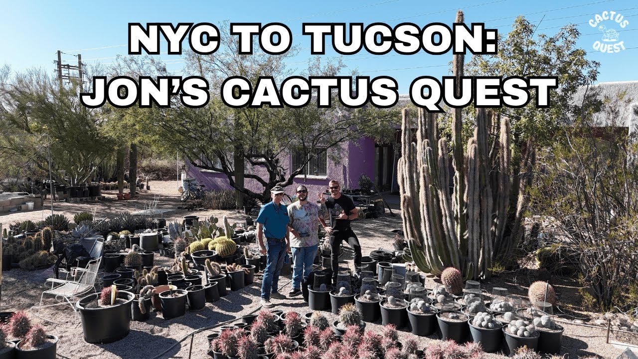 Understanding Cactus-  Soil - Water relationships with local Tucson legend