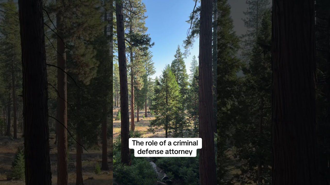 The role of a criminal defense attorney