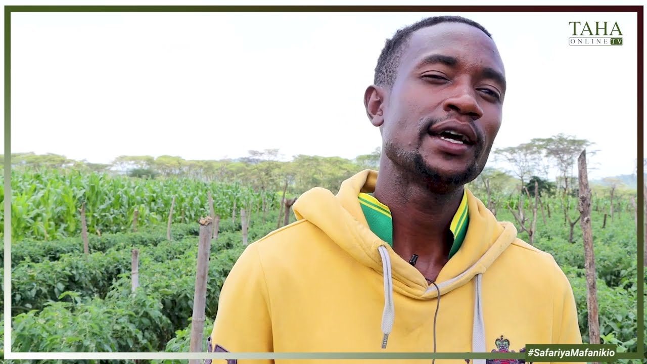 SAFARI YA MAFANIKIO YA NDG. JOHN MARTINE KUPITIA KILIMO CHA HORTICULTURE