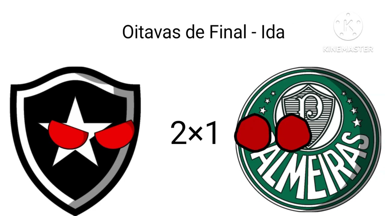 Campanha do Botafogo na libertadores 2024