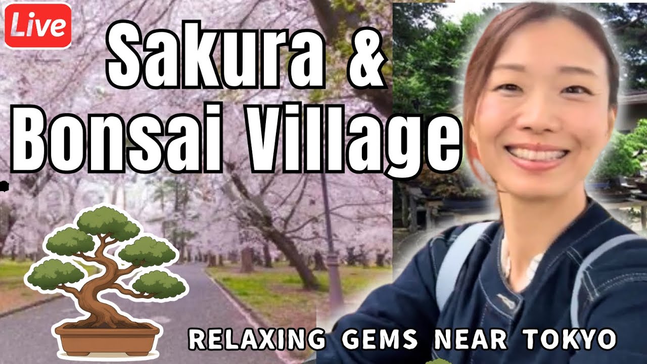Omiya Bonsai & Cherry Blossoms | Relaxing Spring Walk in Saitama, Japan #CherryBlossm #bonsai
