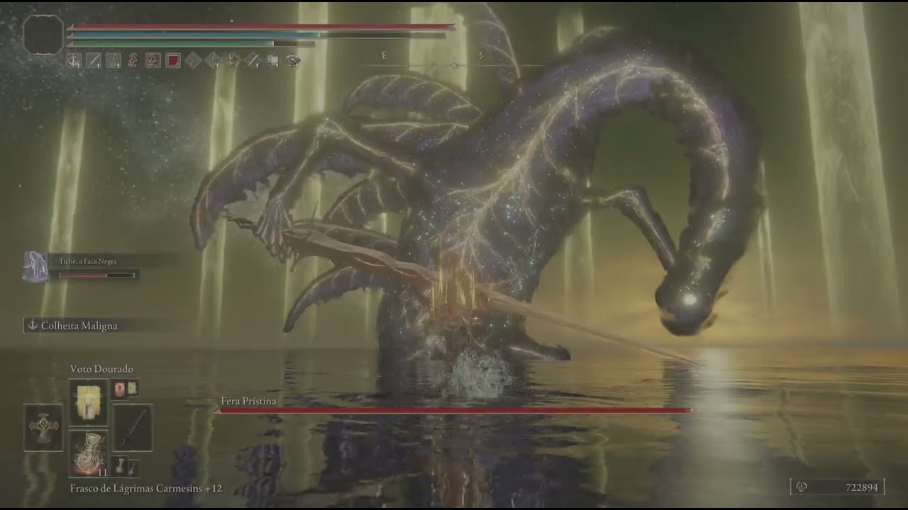 ELDEN RING Rakshasa vs Radagon e Elden Beast
