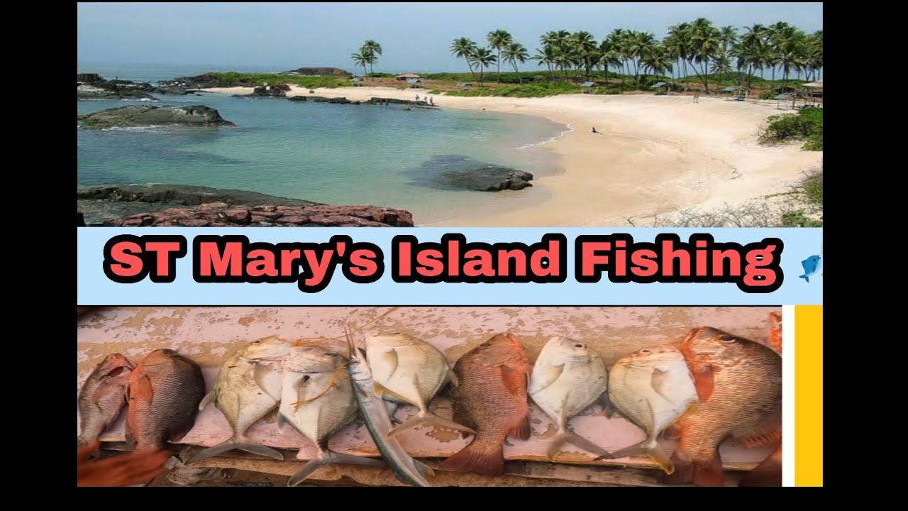 ST MARYS ISLAND 🏝️ Fishing 🎣 with UDUPI ANGLERS #daiwa TULU VBLOG