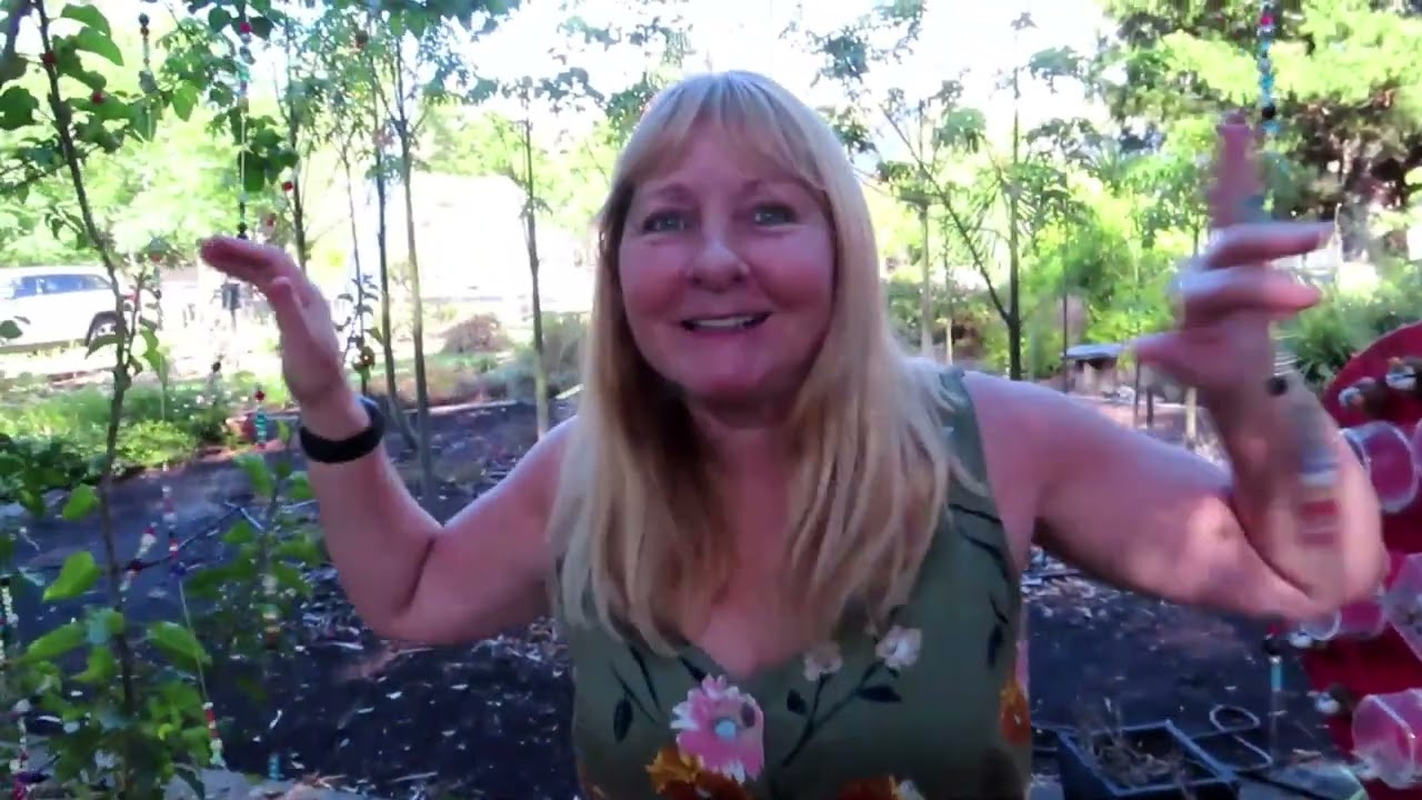 ESK QUEENSLAND HIDDEN GEM,