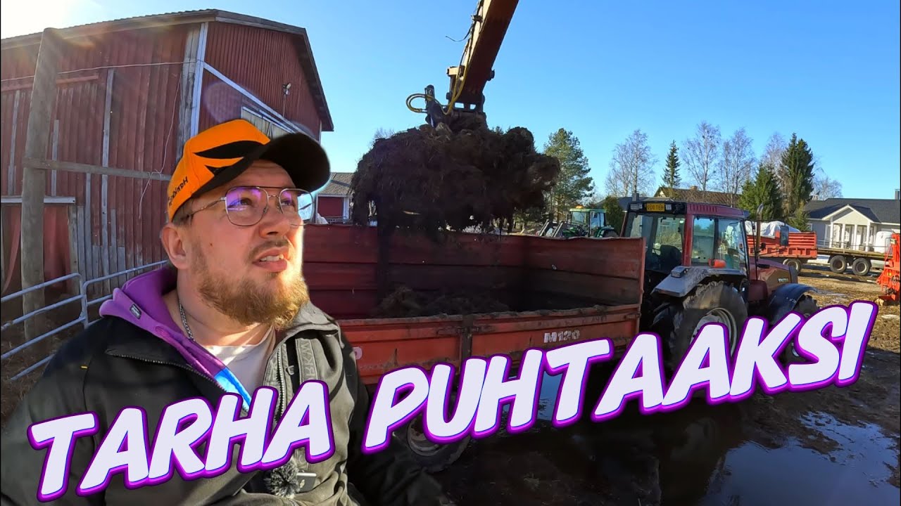 Tarhan puhdistus