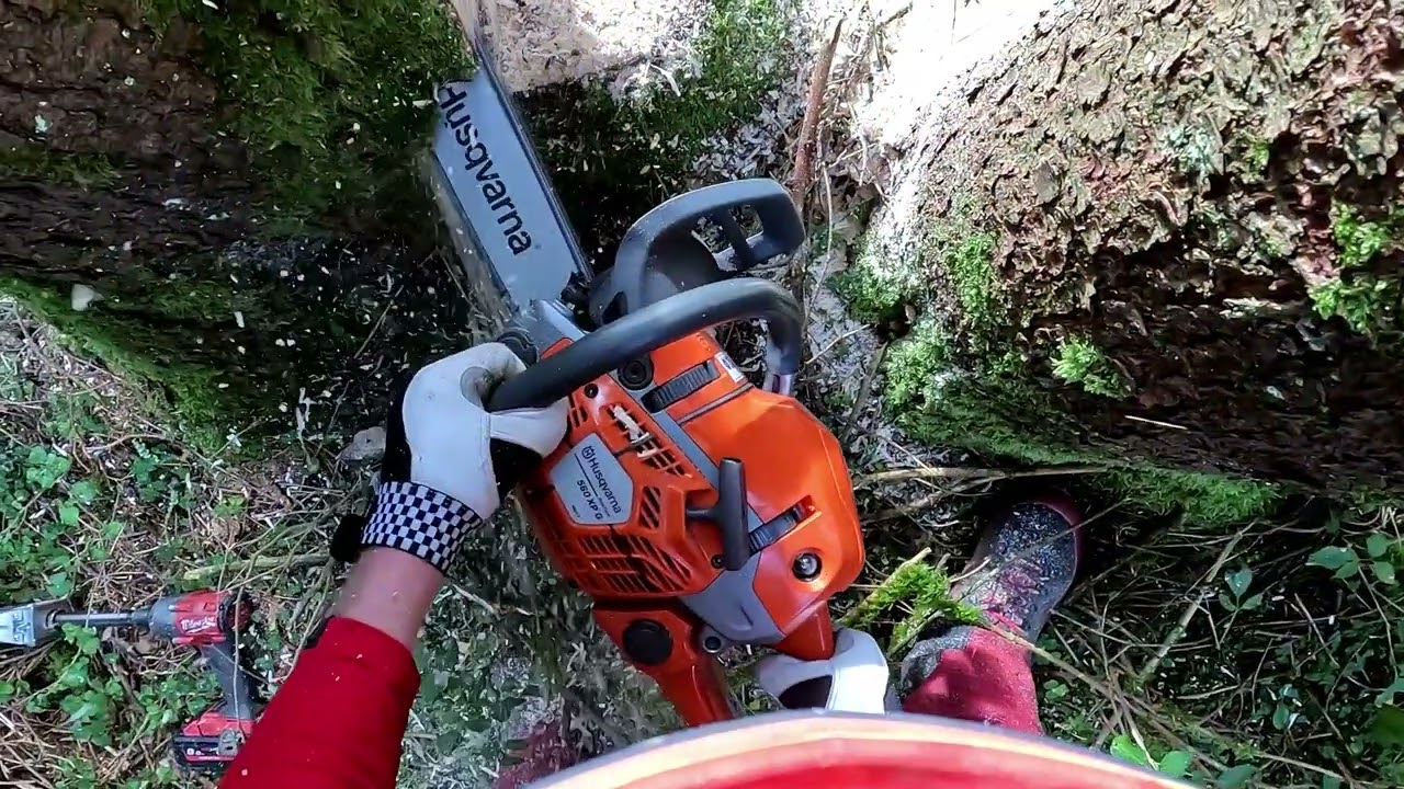 Erster Einsatz Husqvarna 560 XPG Mark 2