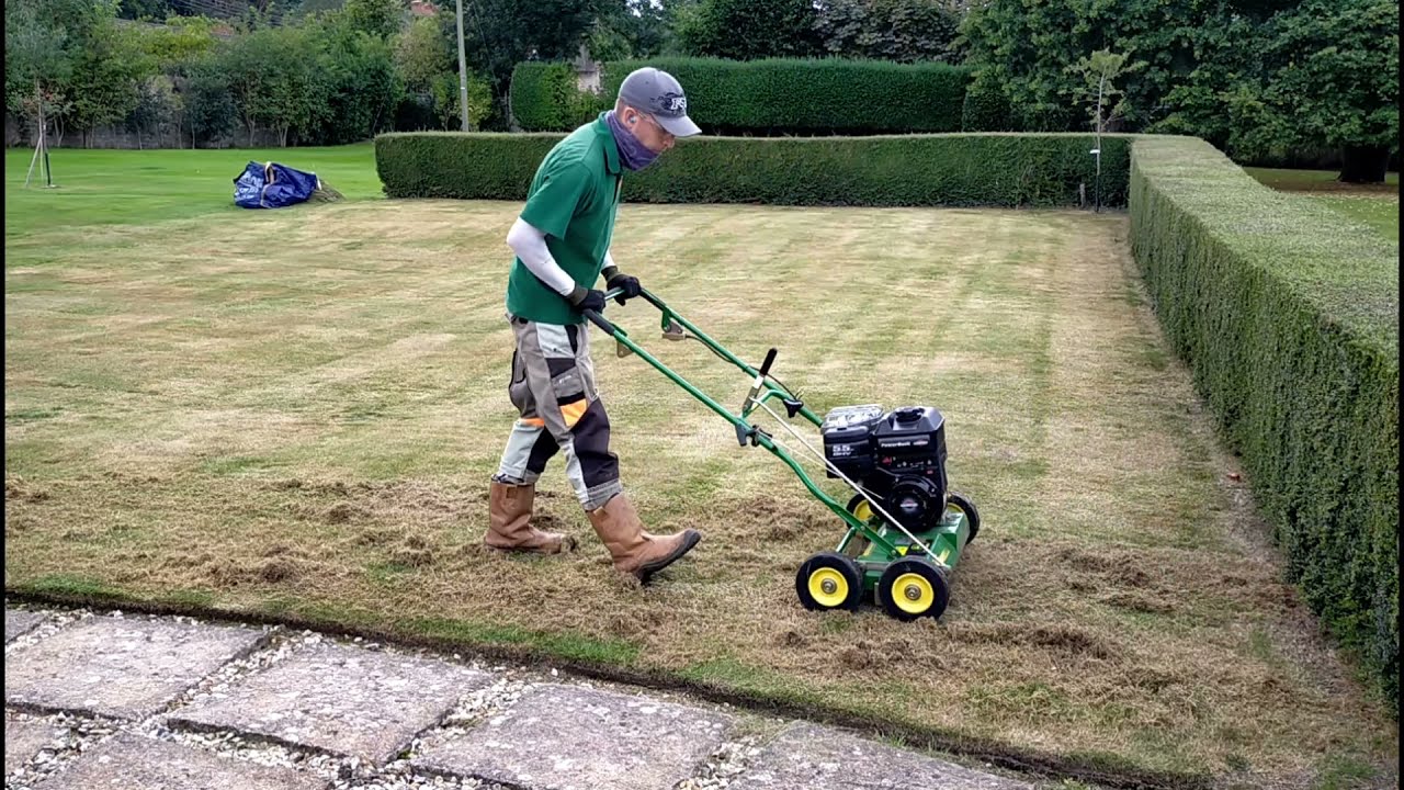 BRUTAL Lawn Scarifying / Dethatching, FIXING An UGLY LAWN