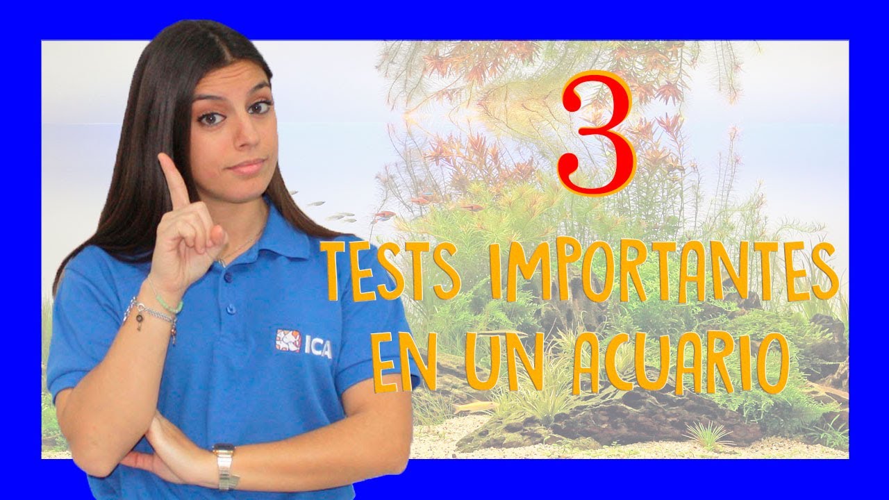Test y parámetros IMPORTANTES en acuarios de agua dulce