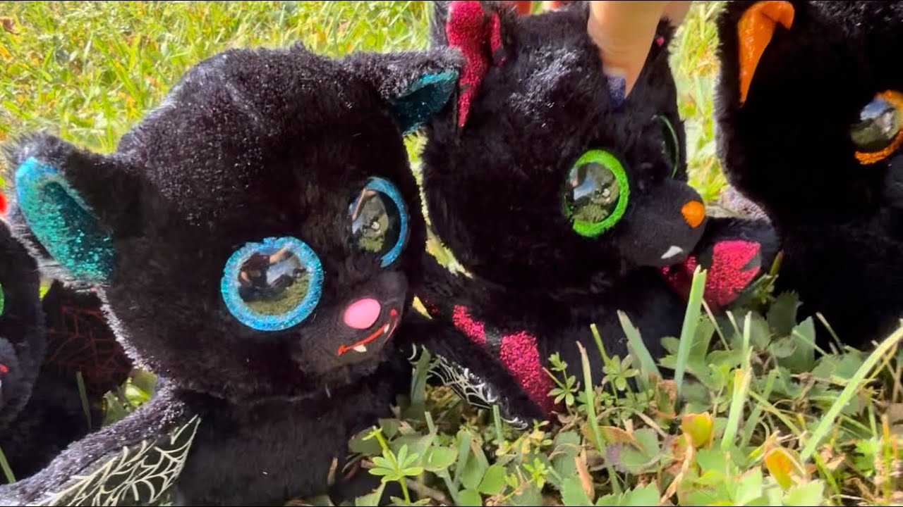 BBHHGMM: “Introducing The Beanie Boo Bats!”