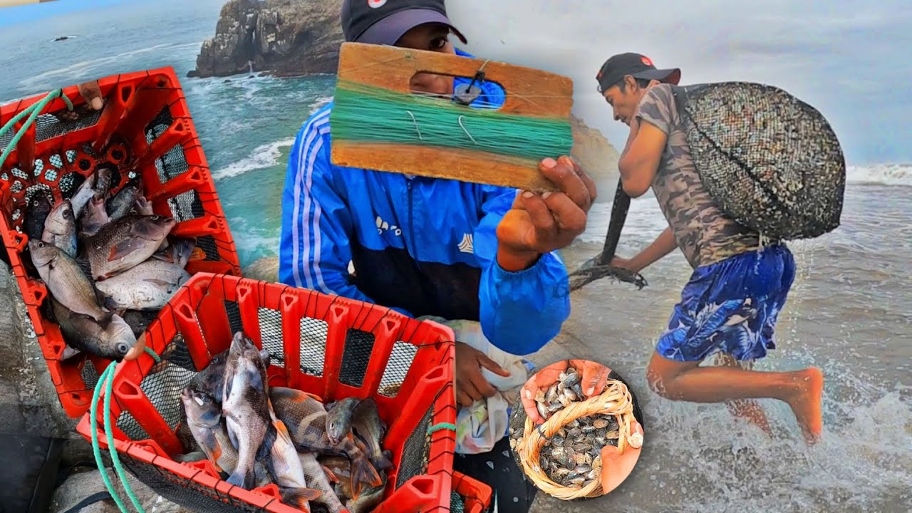 Mira!!! La extracción de Muy Muy Carnada Irresistible | Pesca Variada en Lugares Riesgosos