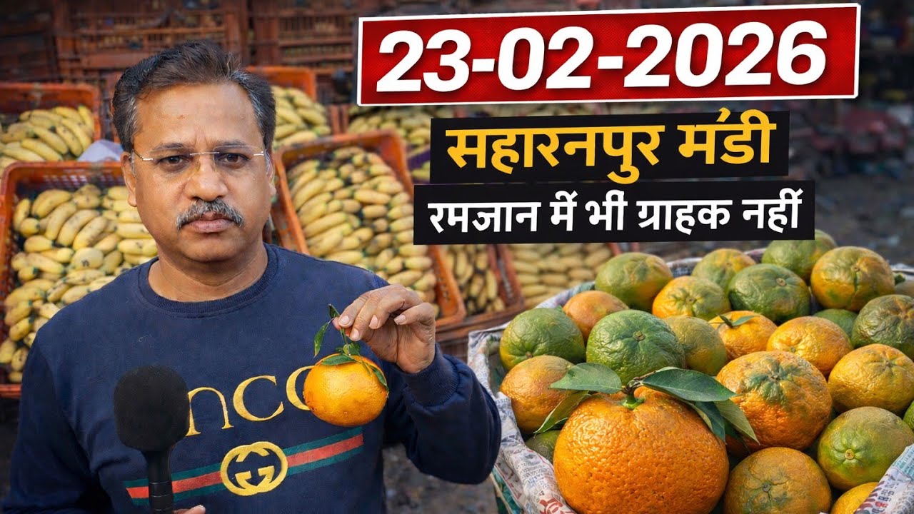 सहारनपुर मंडी में सभी फलों का भाव। 23 February 2026