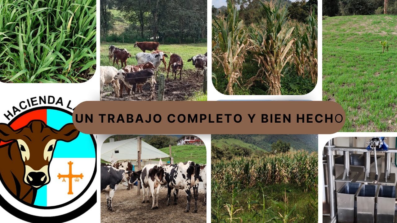EL MAXIMO APROVECHAMIENTO DE UNA FINCA GANADERA