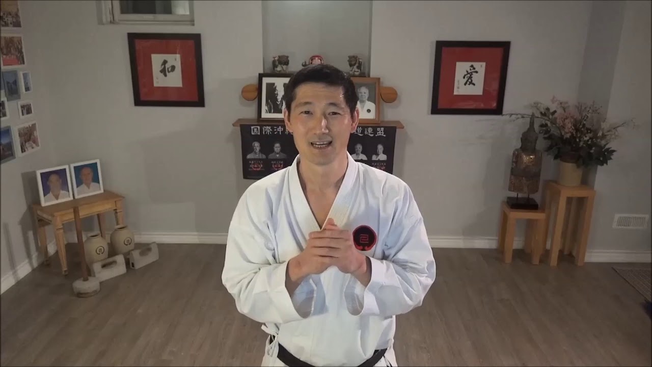 Virtual Kumite & Focus Pad training