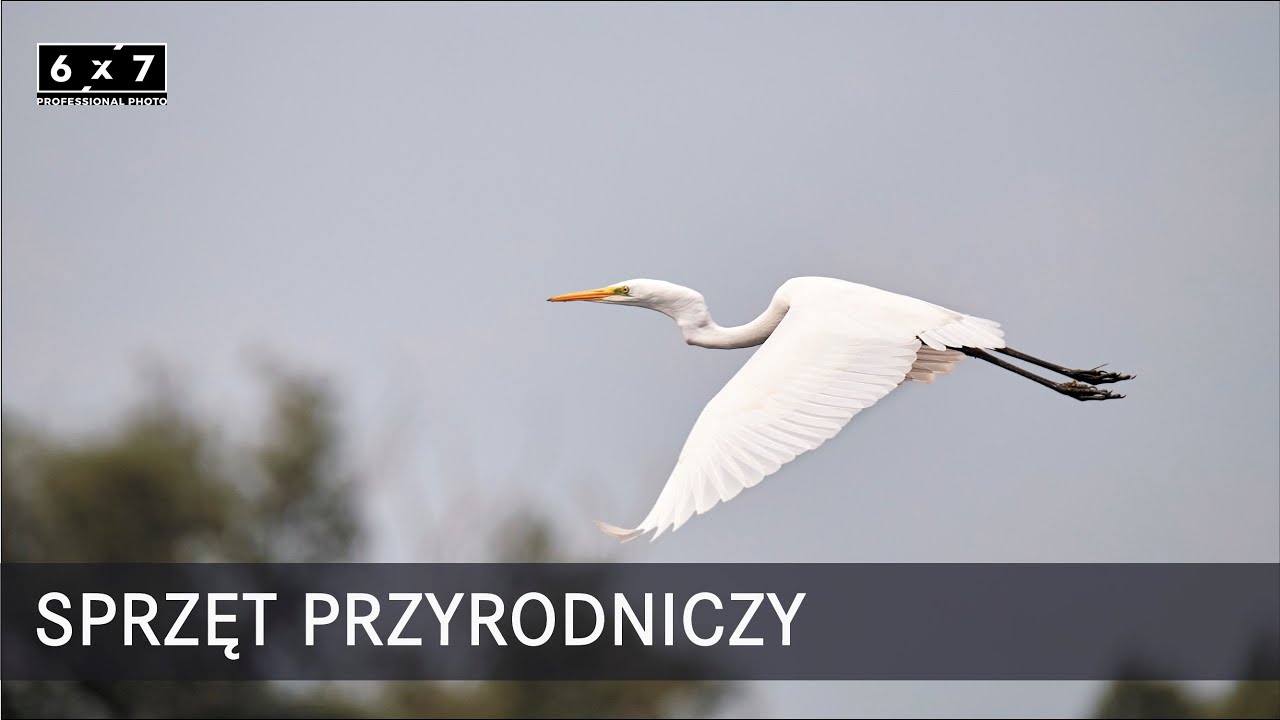 Sprzęt przyrodniczy: Gitzo, Wimberley