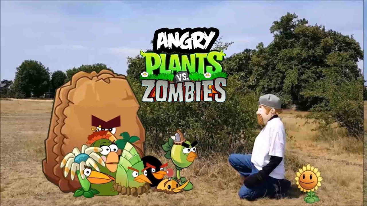 Angry Birds Plants Vs Zombies- Bowser12345