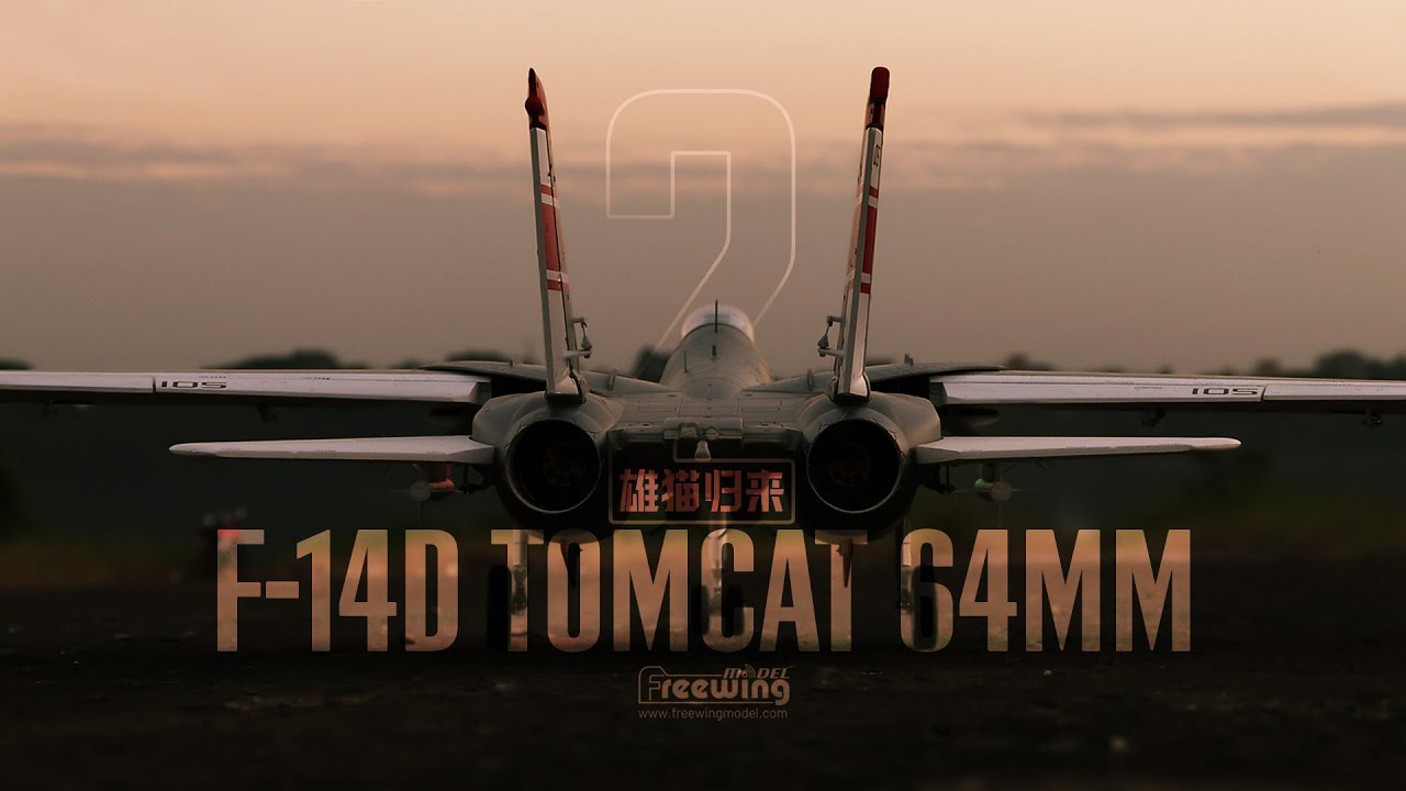 Freewing F 14D Tomcat twin 64mm EDF Jet V2