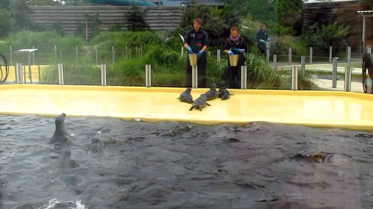 Seehundstation Norddeich und Waloseum in Ostfriesland