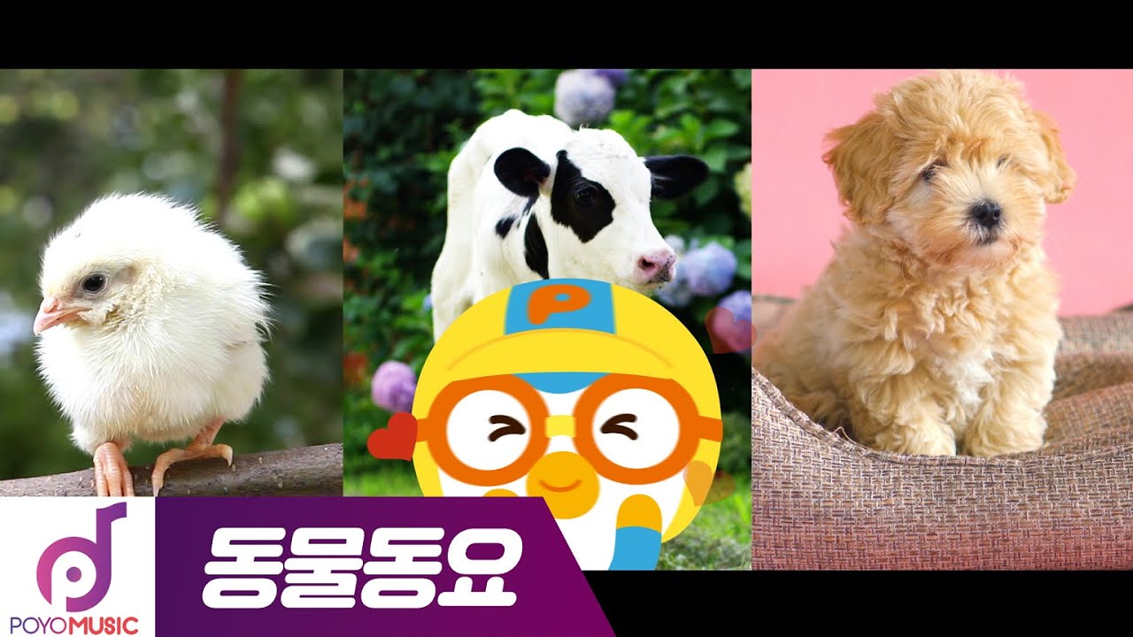 뽀로로와 동물친구들 | 아기동물 삼총사 | 동물동요 모음집 | 뽀로로와 노래해요