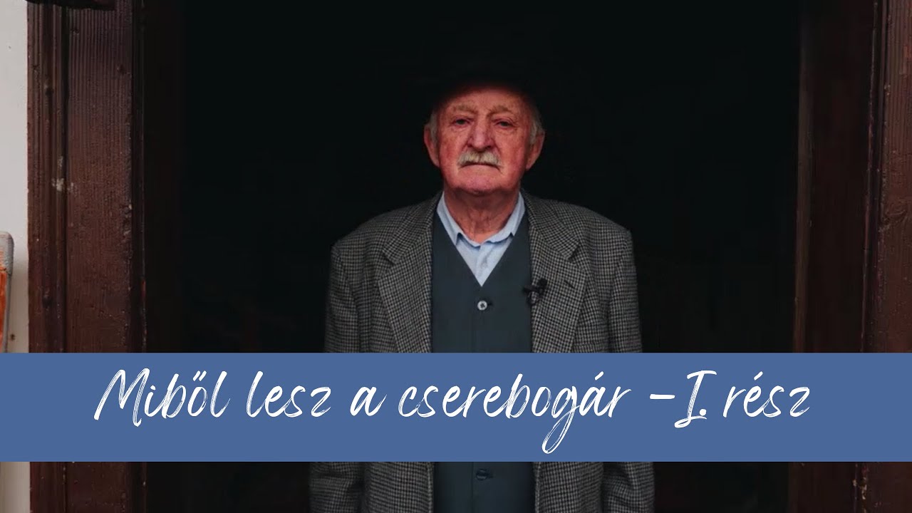 Berci Bácsi - Miből lesz a cserebogár - I. rész