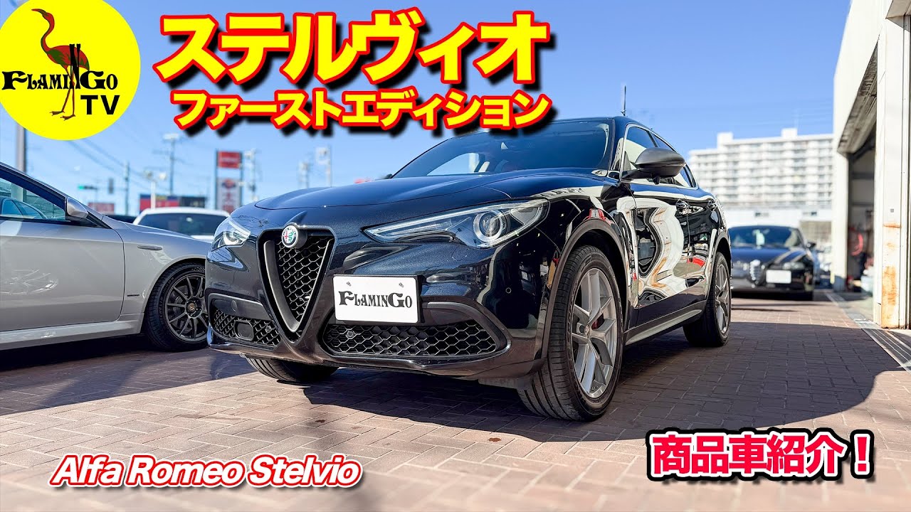 【ファミリーに！】ステルヴィオがオススメです！