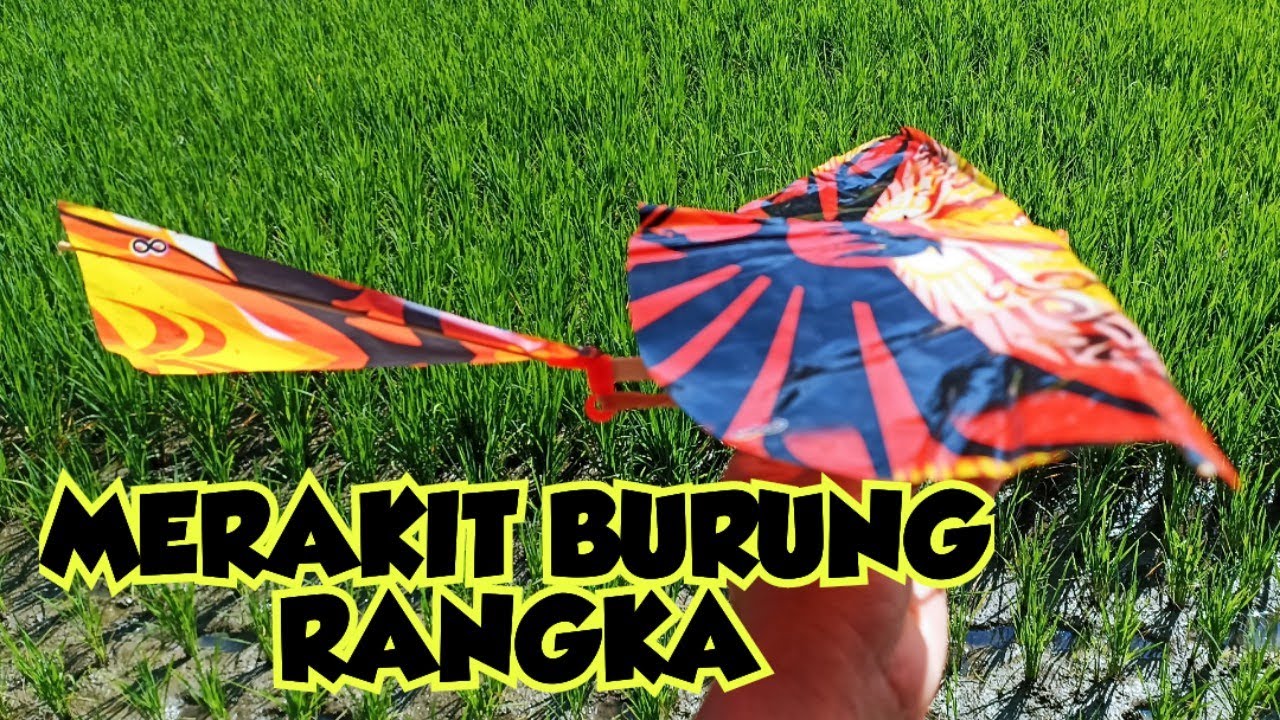 MERAKIT MAINAN BURUNG RANGKA BISA TERBANG