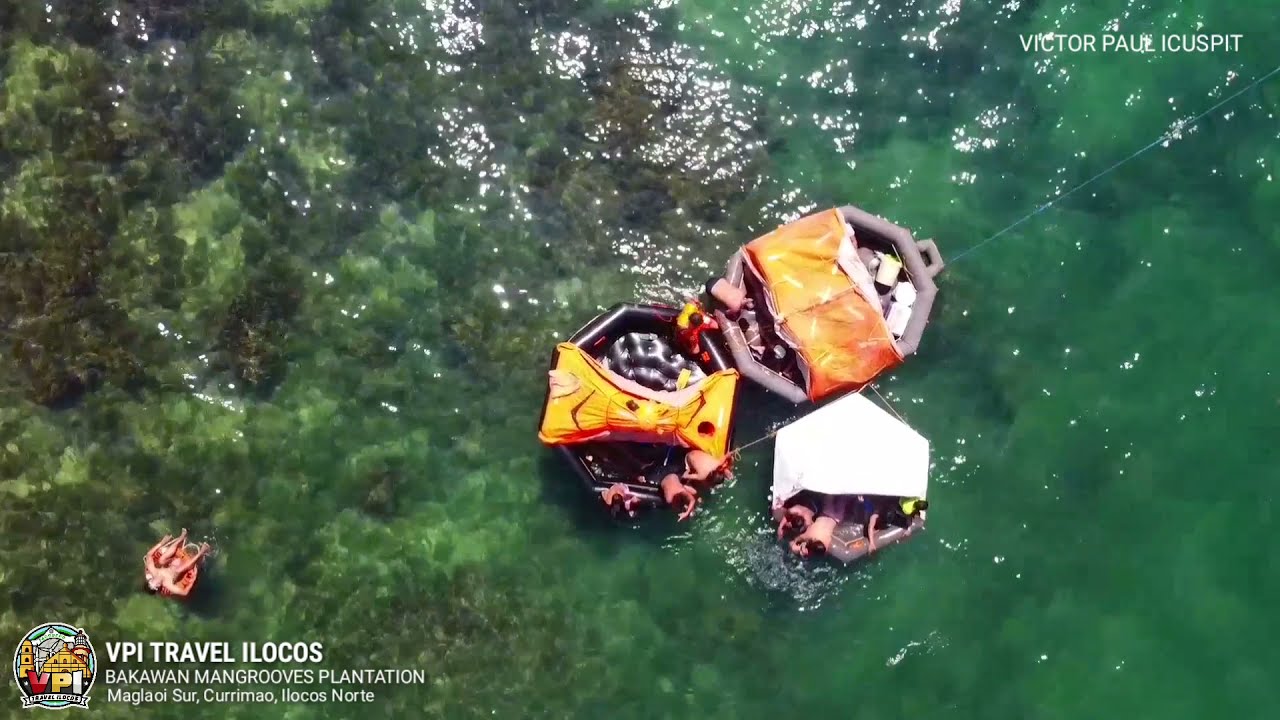 Bakawan Mangrove Plantation - Currimao Ilocos Norte