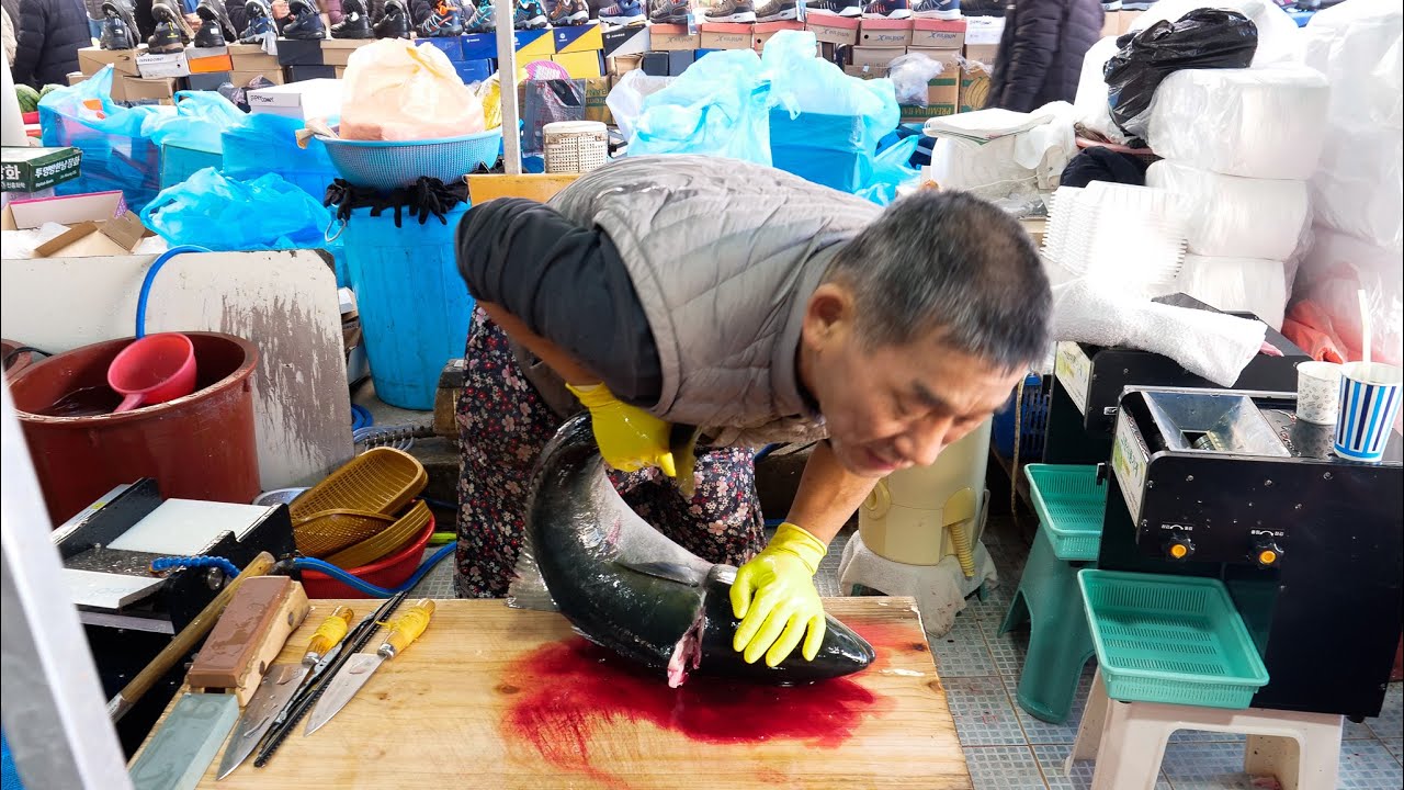 12kg 넘는 겨울철 대방어들을 순식간에 썰어 버리는 남창 칼잡이 횟썰기 달인 대방어 ,밀치,도다리, 광어, 뱀장어 ,꼼장어 korean sashimi master